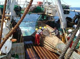 La pesca de arrastre modifica el relieve de los fondos marinos