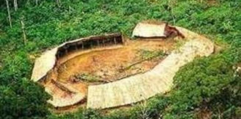 CIDH urge a investigar denuncia de masacre de una comunidad indígena Yanomami en Venezuela