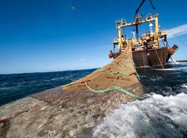 Greenpeace celebra que Australia proteja sus aguas del barco factoría Magiris