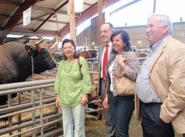 La consejera exigirá a Cañete medidas que garanticen la sostenibilidad del campo