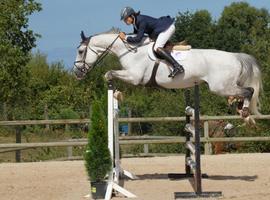 Campeonato de Asturias de Salto 2012