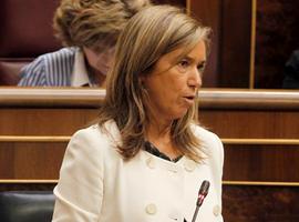 El pan sin gluten tendrá IVA superreducido por primera vez 