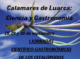 Calamares \a la ciencia\ en Valdés