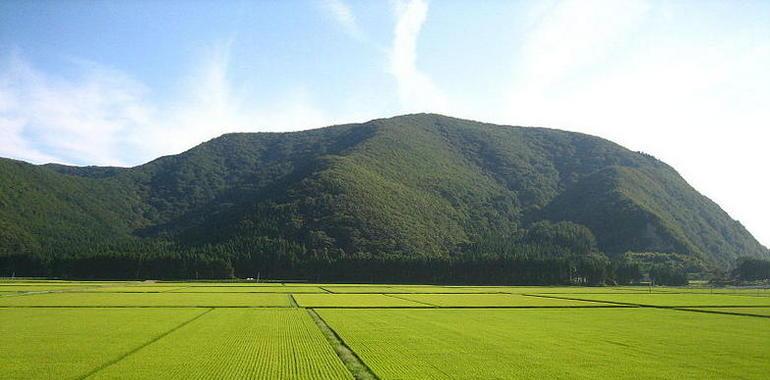 El cambio climático hará disminuir el agua disponible para la agricultura