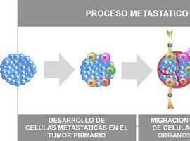 Nuevo mecanismo de control inmunológico del cáncer