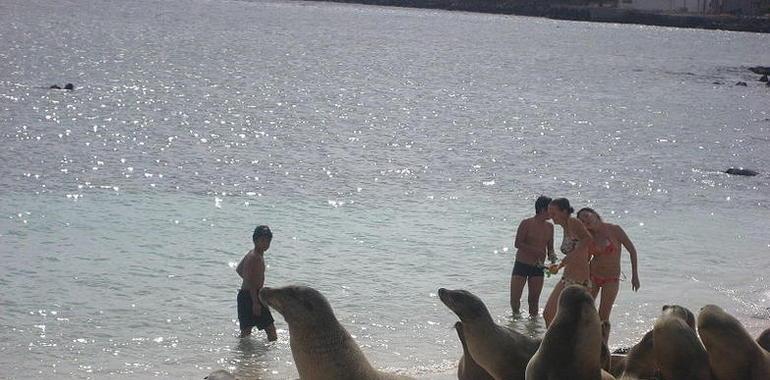 Galápagos: un tipo de evolución diferente