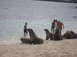 Galápagos: un tipo de evolución diferente