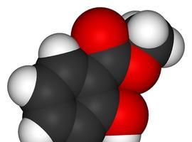 Una sustancia de origen vegetal es capaz de guardar información a nivel molecular