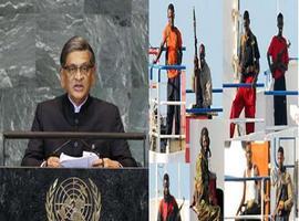 India expresa en la ONU su grave preocupación por amenaza de la piratería
