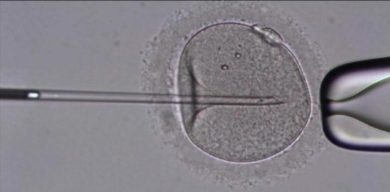 El miedo al tratamiento estresa a las mujeres en terapias de fertilidad