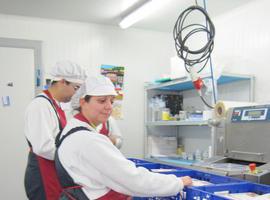 Grupo Lince y Cartif mejoran la eficiencia energética de las cocinas de Línea Fría 