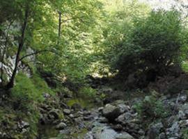 La EMA licita la obra de Renovación de la Conducción de Los Arrudos en el tramo Sifón del Alba