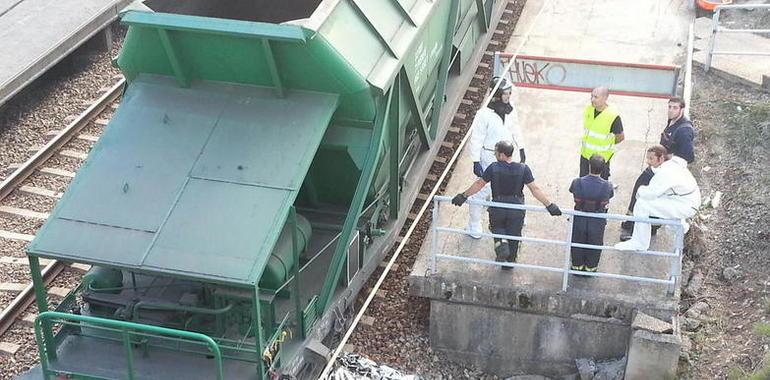 Mueren dos ancianos tras ser arrollados por un tren de mercancías en Villabona 