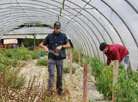 Juventudes Agrarias reclaman que los recortes en desarrollo rural no comprometan el relevo generacional