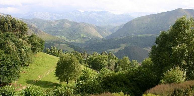 Acotado el pastoreo en Cordillera del Cuera, Comunal de Niembro y Benzúa, Piedrahita y Tejedo