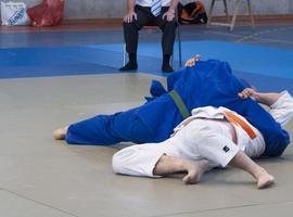 XIII Torneo Internacional de Judo \"Puerta de Asturias\", Campeonato de Asturias de Promoción