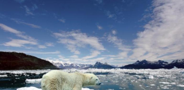 Predice el colapso final del hielo ártico dentro de cuatro años