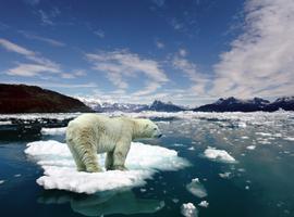 Predice el colapso final del hielo ártico dentro de cuatro años