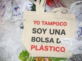 El Colegio Público La Llamiella de Riaño (Langreo) es Triple Erre en reciclaje