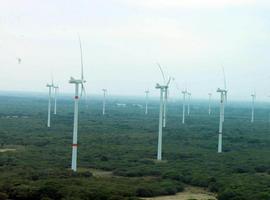 Oaxaca aprovecha el viento