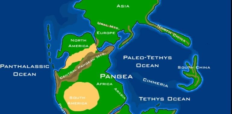 Cien años de Pangea