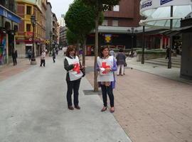 Cruz Roja en Asturias recauda 40.000 euros con su Día de la Banderita