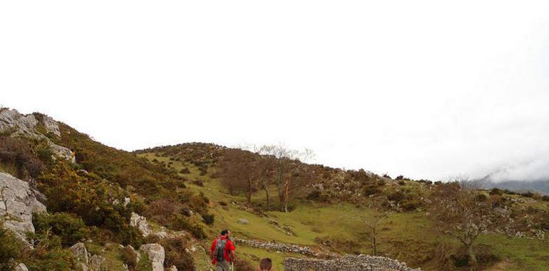 FORO pide al Gobierno la restauración del camino de acceso a pastos de Llabres (Llanes)