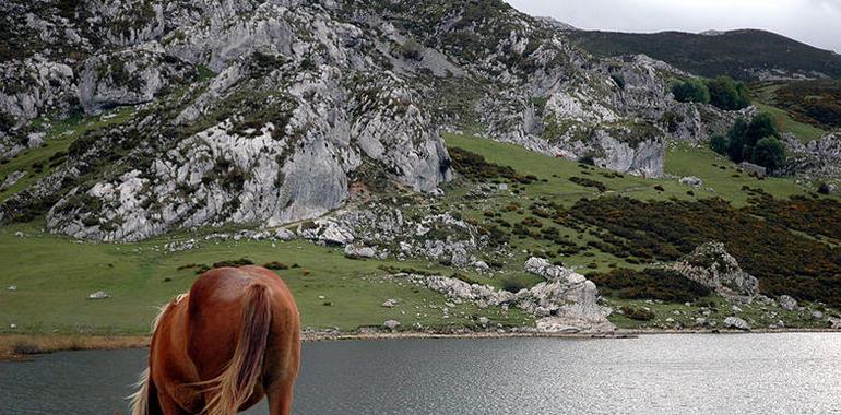 Periodistas y blogueros de Francia, Italia y España en Asturias para promocionar el Principado 