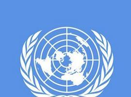 El PSOE insta al Gobierno al reconocimiento de Palestina como observador en la ONU