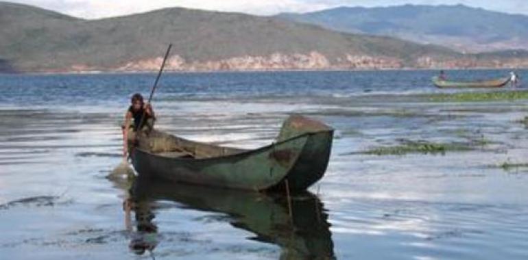 Un modelo matemático permitirá prever colapsos ambientales