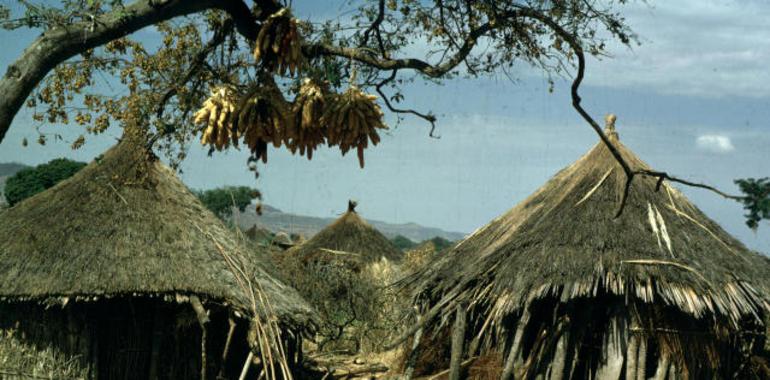 Programa de la UNESCO sobre el Hombre y la Biosfera: 40 años pionero en desarrollo sostenible 