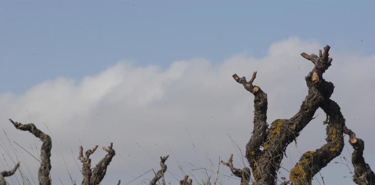 El paisaje cultural del vino y el viñedo de La Rioja y La Rioja Alavesa