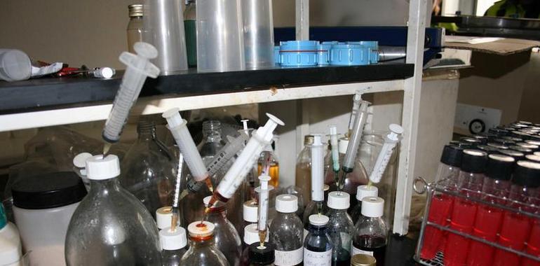 Localizado un laboratorio ilegal en Villa de Vallecas
