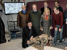 Descubren un nuevo género de dinosaurio en Teruel 