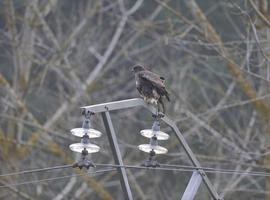 Cantabria publica los números de atención telefónica gratuita de las eléctricas y gasísticas