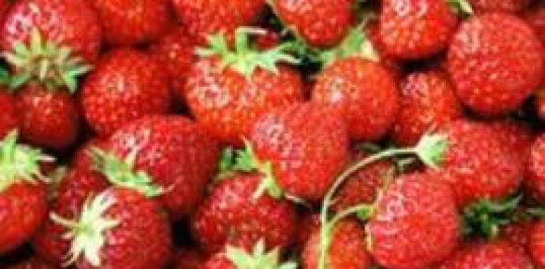 Las fresas fortalecen los glóbulos rojos