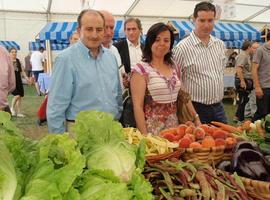 La Renta Agraria registra un aumento del 1,1 por ciento en 2012 