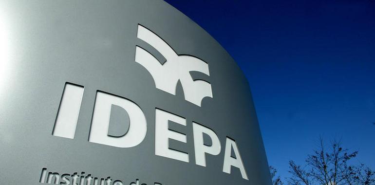 El IDEPA concede 221.836 euros en subvenciones para la mejora de áreas empresariales