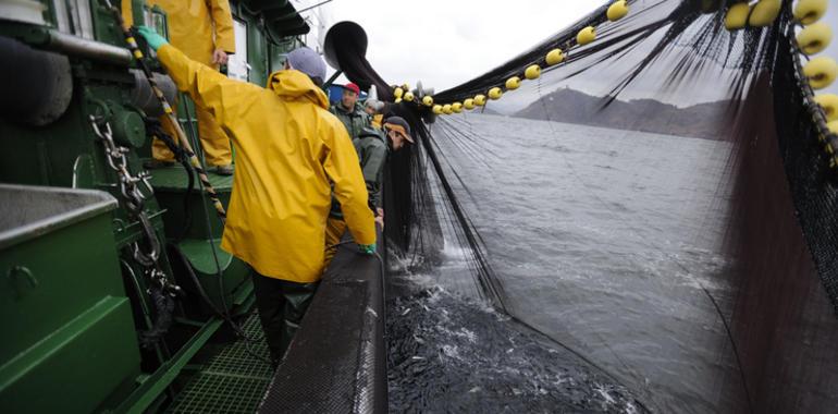 WWF revela que los ministros de pesca siguen los consejos científicos sólo 1 de cada 10 veces