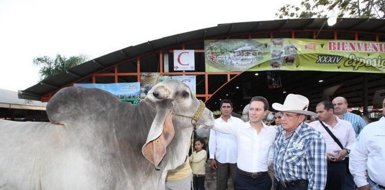 Chiapas, referente ganadero para Centroamérica