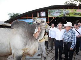 Chiapas, referente ganadero para Centroamérica