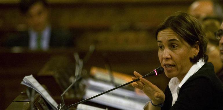 Carcedo presentó los presupuestos de Hacienda para 2013