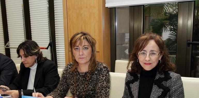 Asturias comparte las líneas generales del Plan Estatal de alquiler y rehabilitación de viviendas