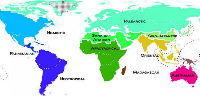 El mapa del mundo natural se actualiza