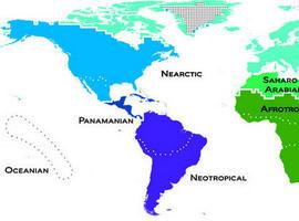 El mapa del mundo natural se actualiza