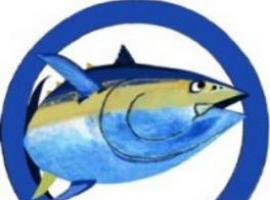 La UE subvenciona con fondos públicos prácticas pesqueras ilegales en España