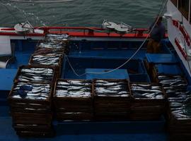 Investigadores del sector pesquero europeo buscan nuevos modelos de gestión de la pesca