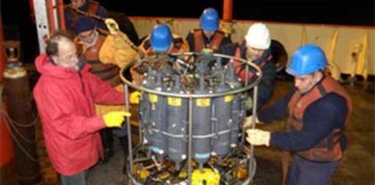 Desentrañando la biodiversidad antártica