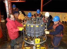 Desentrañando la biodiversidad antártica
