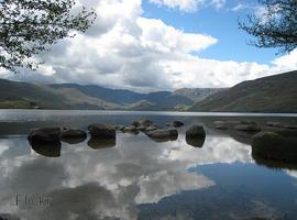 El Lago de Sanabria desarolla un proceso modélico de regeneración durante el invierno